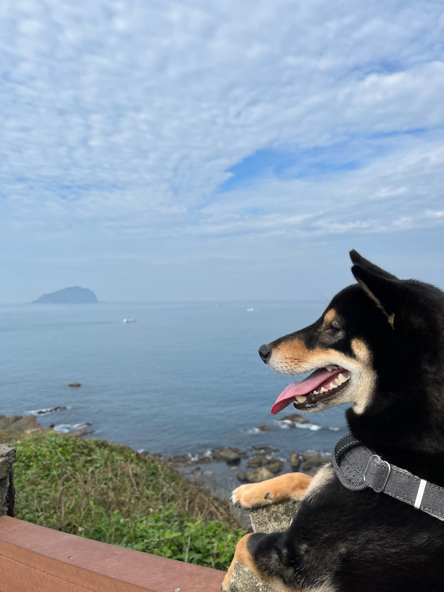 望幽 谷 | 去趣 chicTrip