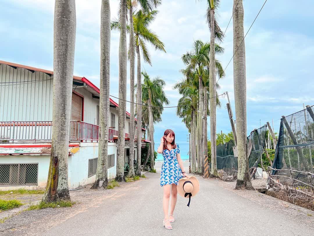 華源椰林大道 | 去趣 chicTrip