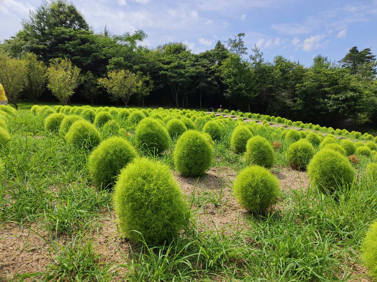 國營讚岐滿濃公園 | 去趣 chicTrip