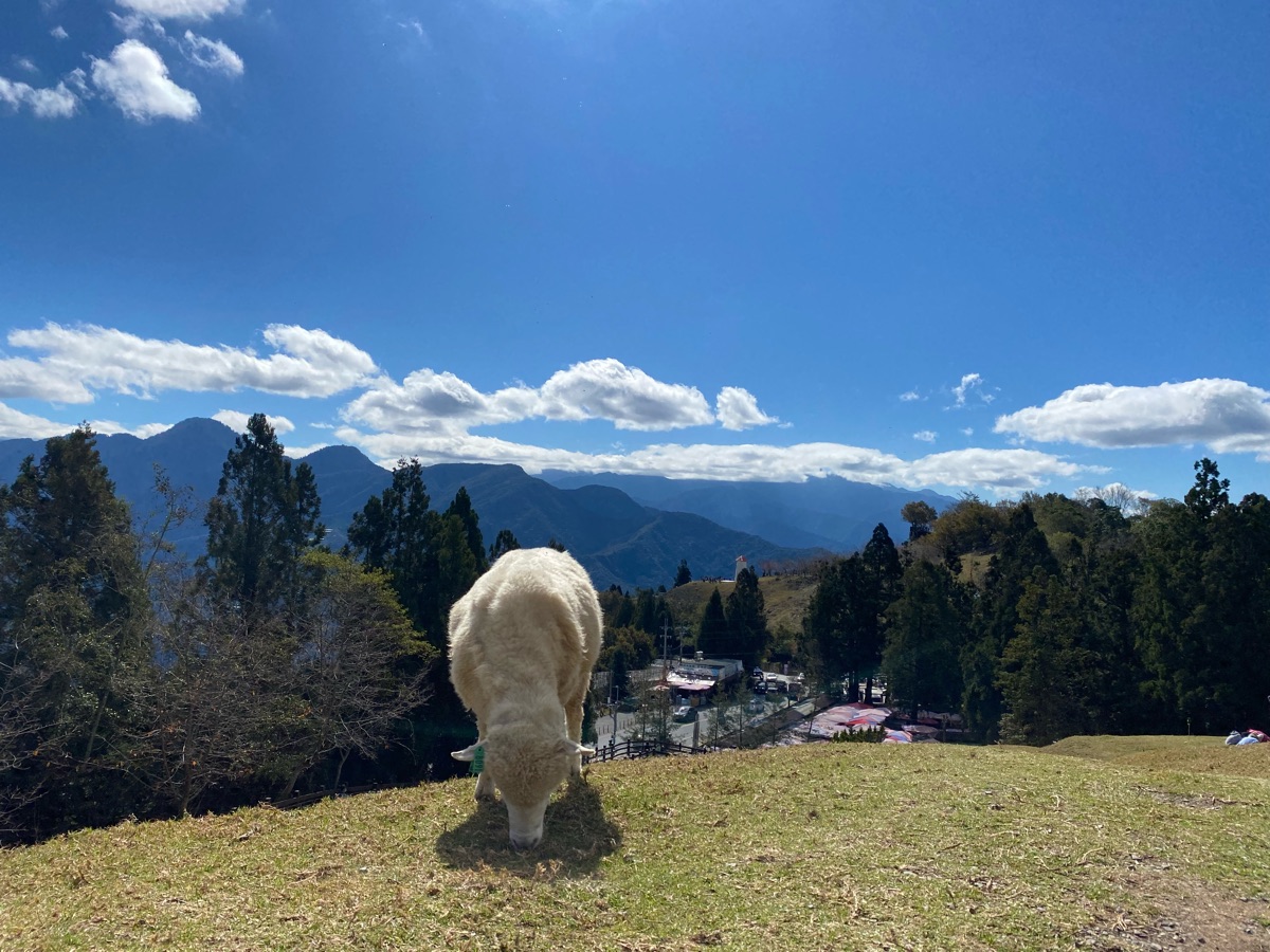 清境農場青青草原 | 去趣 chicTrip