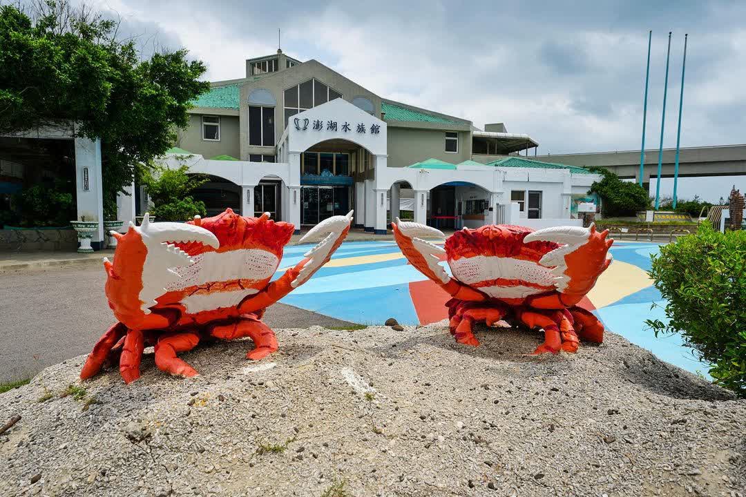 澎湖水族館 | 去趣 chicTrip
