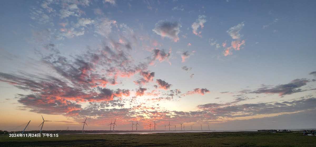 高美野生動物保護區 | 去趣 chicTrip