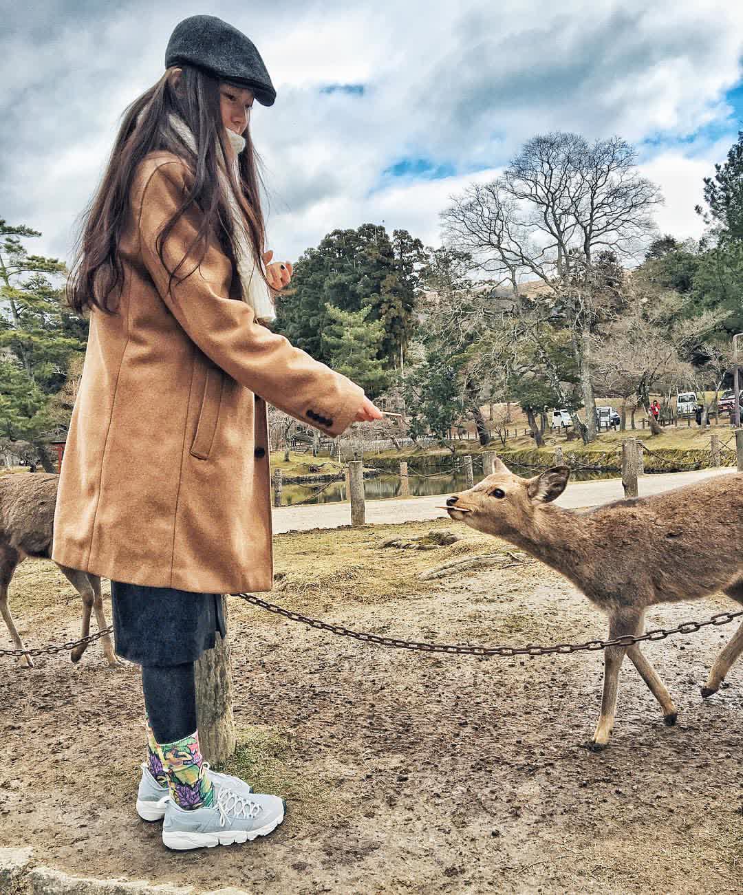 奈良公園 | 去趣 chicTrip