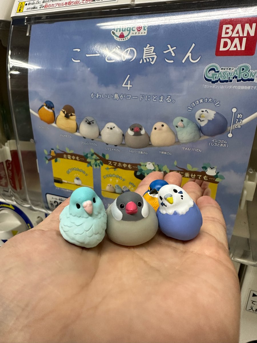 Gacha-gacha no Mori | 去趣 chicTrip