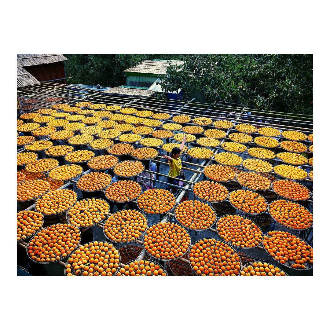 味衛佳柿餅教育農園 | 去趣 chicTrip