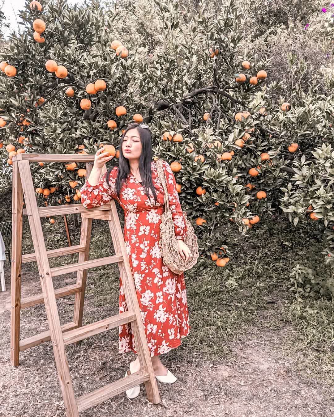 橙香森林 | 去趣 chicTrip