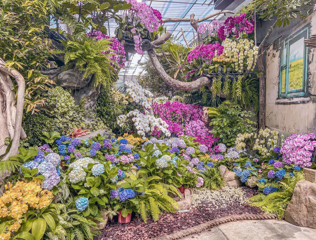 花露農場 Flower Home | 去趣 chicTrip