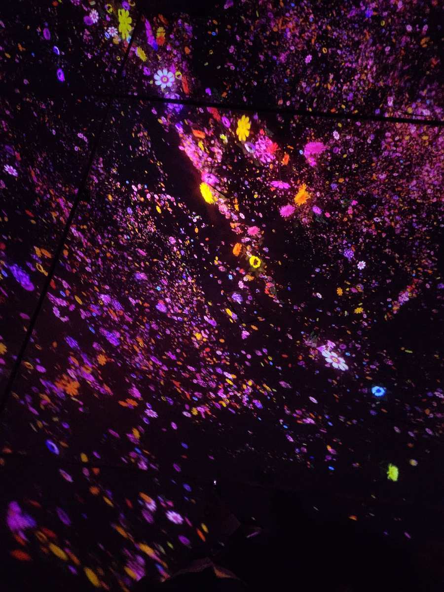 teamLab Planets TOKYO DMM | 去趣 chicTrip