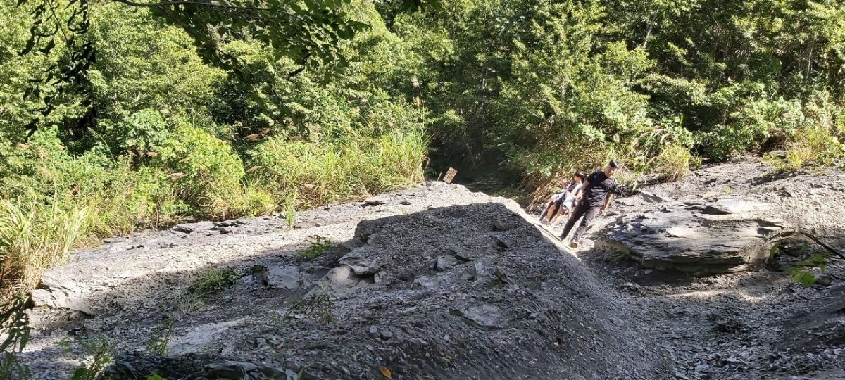 司馬庫斯巨木群步道 | 去趣 chicTrip