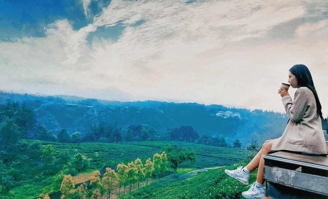 鹿篙咖啡莊園 | 去趣 chicTrip