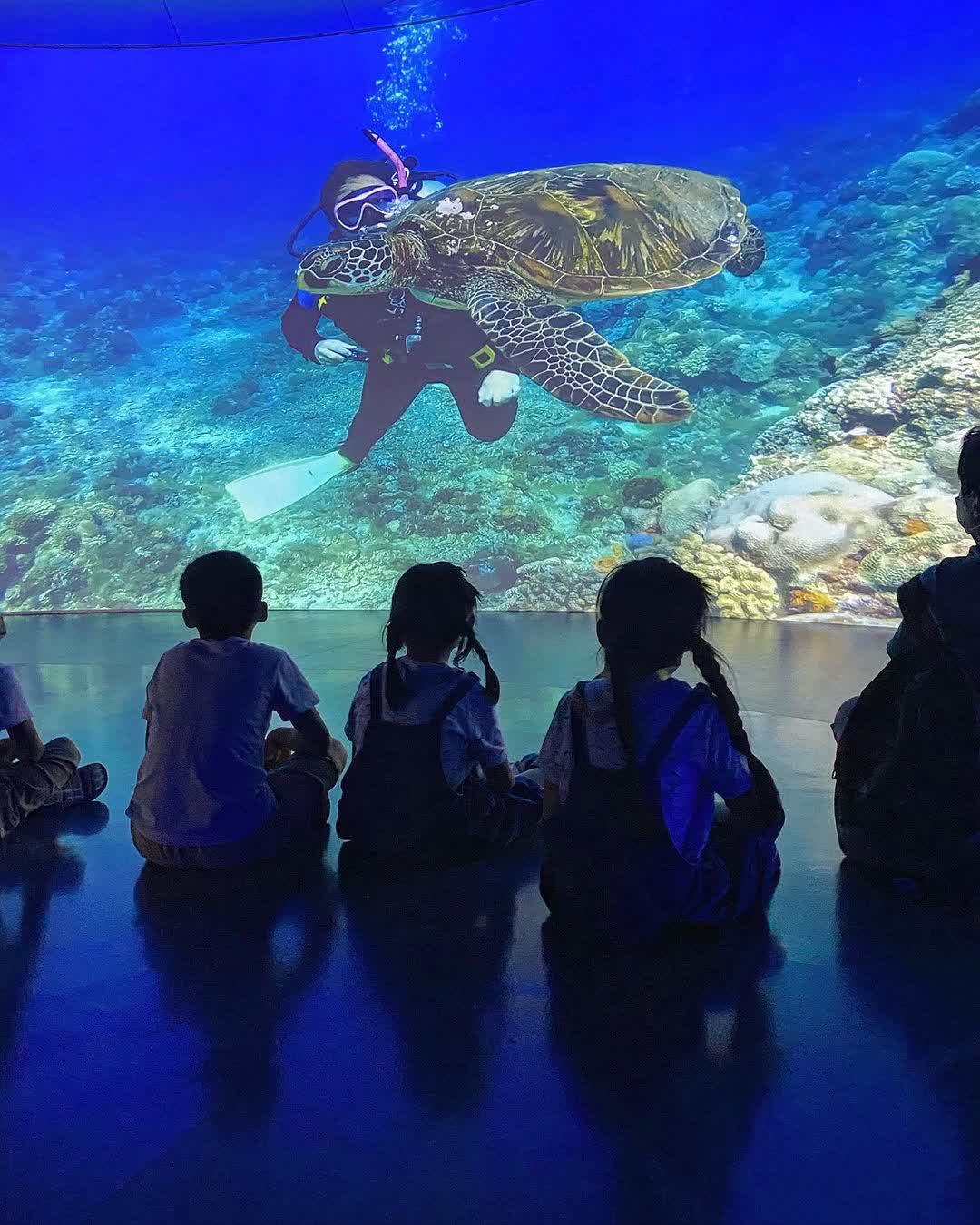 國立海洋科技博物館 | 去趣 chicTrip