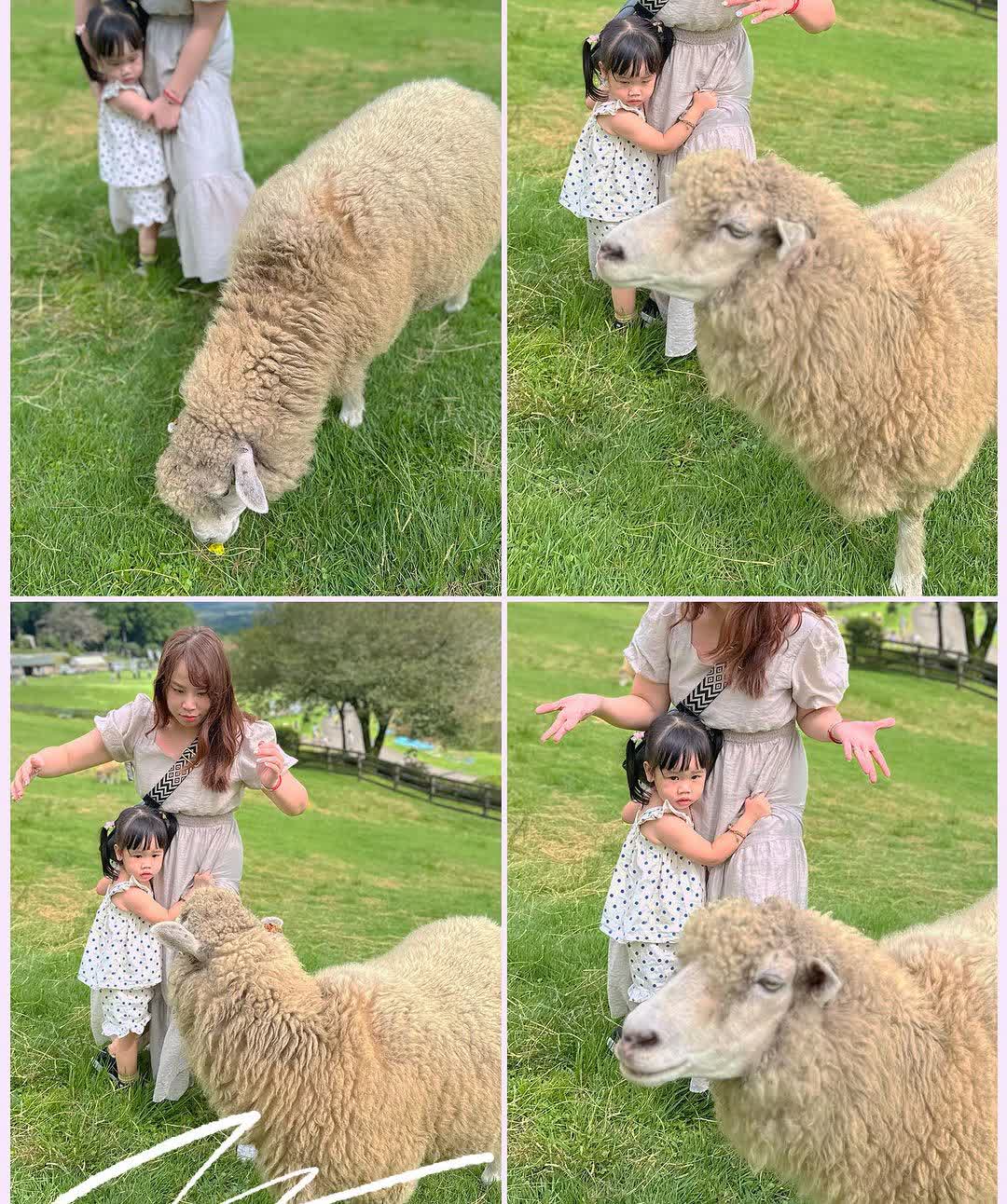 馬飼野牧場 | 去趣 chicTrip