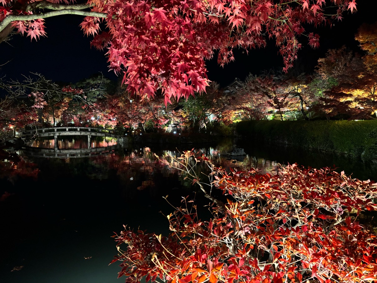 禪林寺永觀堂 | 去趣 chicTrip