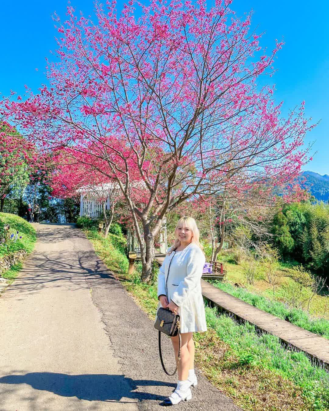 薰衣草森林新竹尖石店 | 去趣 chicTrip