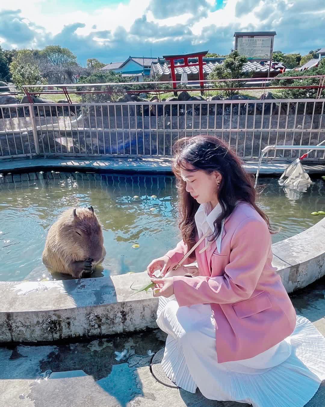 綠舞國際觀光飯店 | 去趣 chicTrip