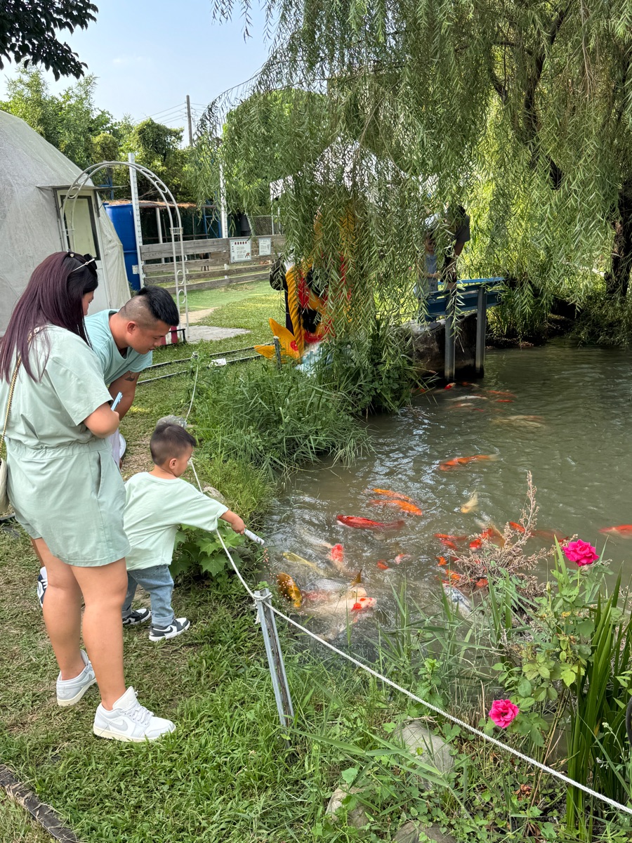 鵝媽媽 鵝童樂園 | 去趣 chicTrip