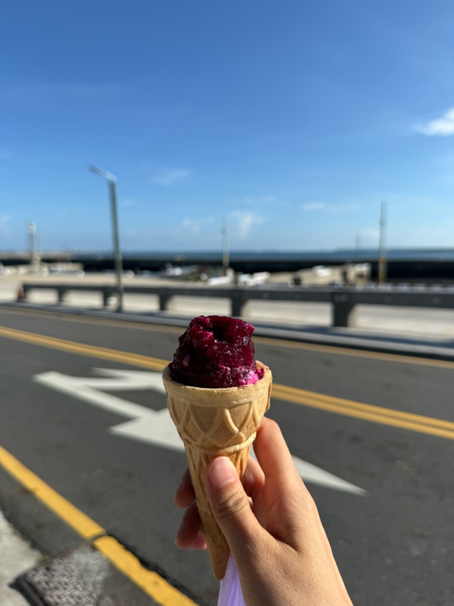 易家仙人掌冰 | 去趣 chicTrip