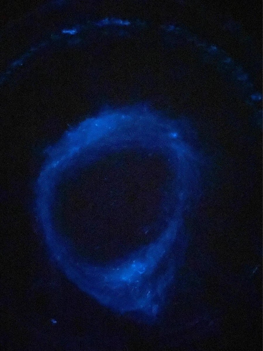 藍眼淚生態館 | 去趣 chicTrip