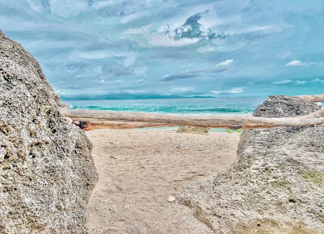 網美老木 | 去趣 chicTrip