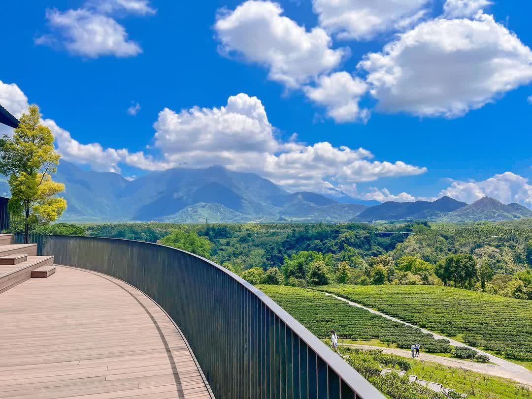 鹿篙咖啡莊園 | 去趣 chicTrip