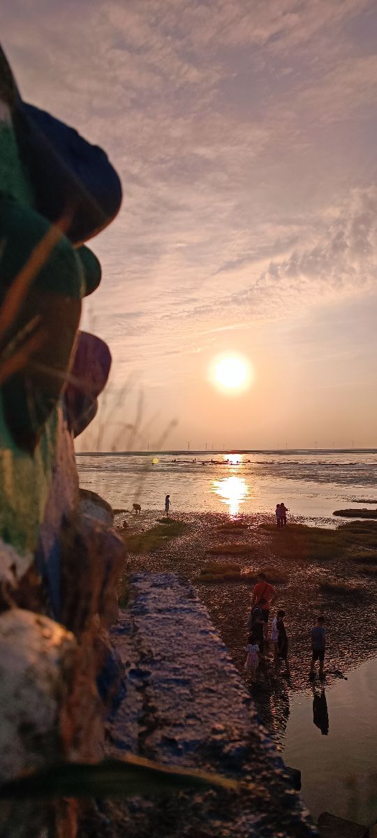 香山濕地賞蟹步道 | 去趣 chicTrip