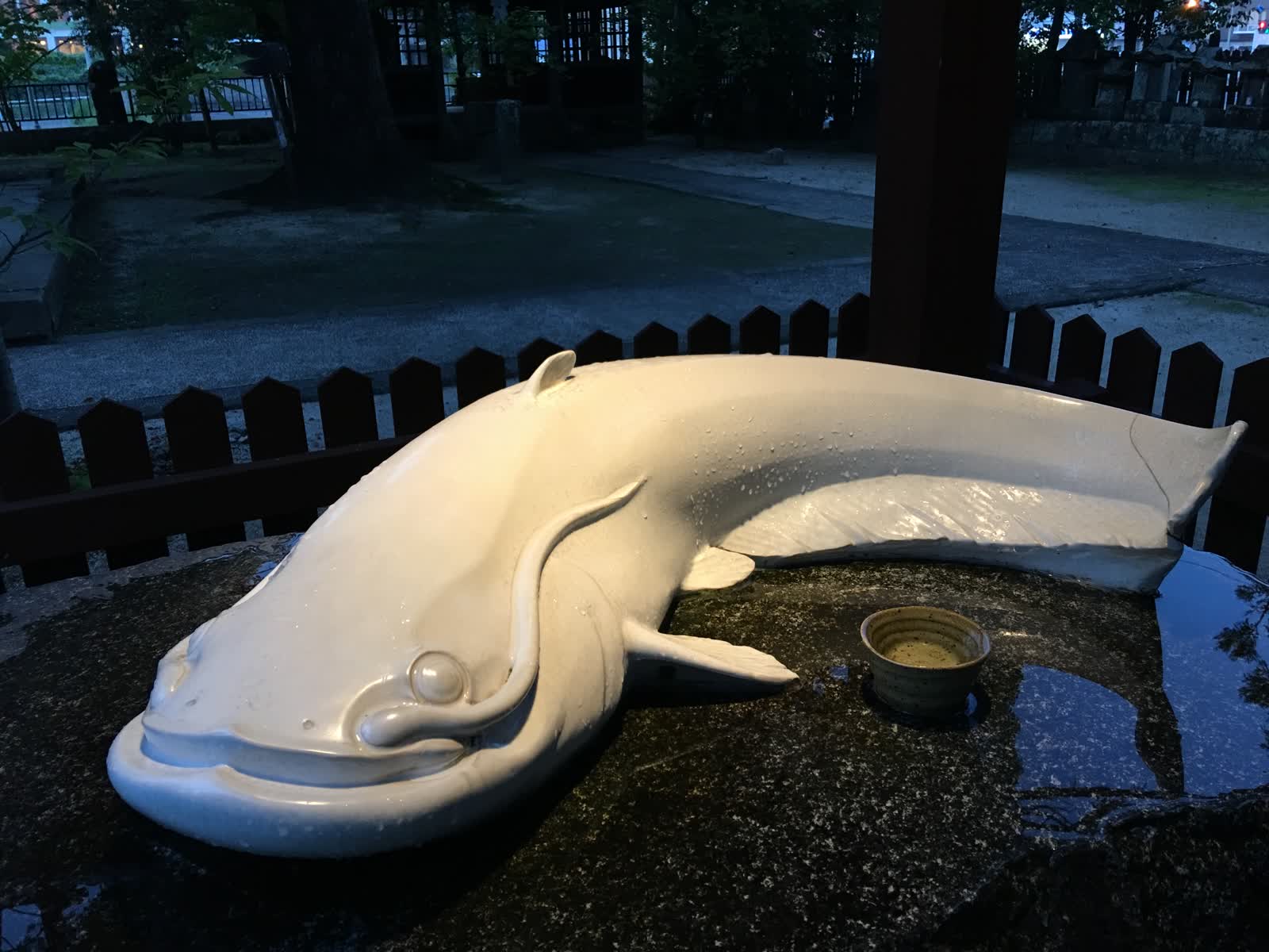 白鯰魚 豐玉姫神社 | 去趣 chicTrip