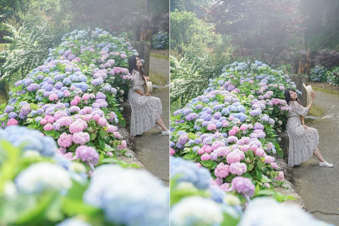 杉林溪森林生態渡假園區 | 去趣 chicTrip