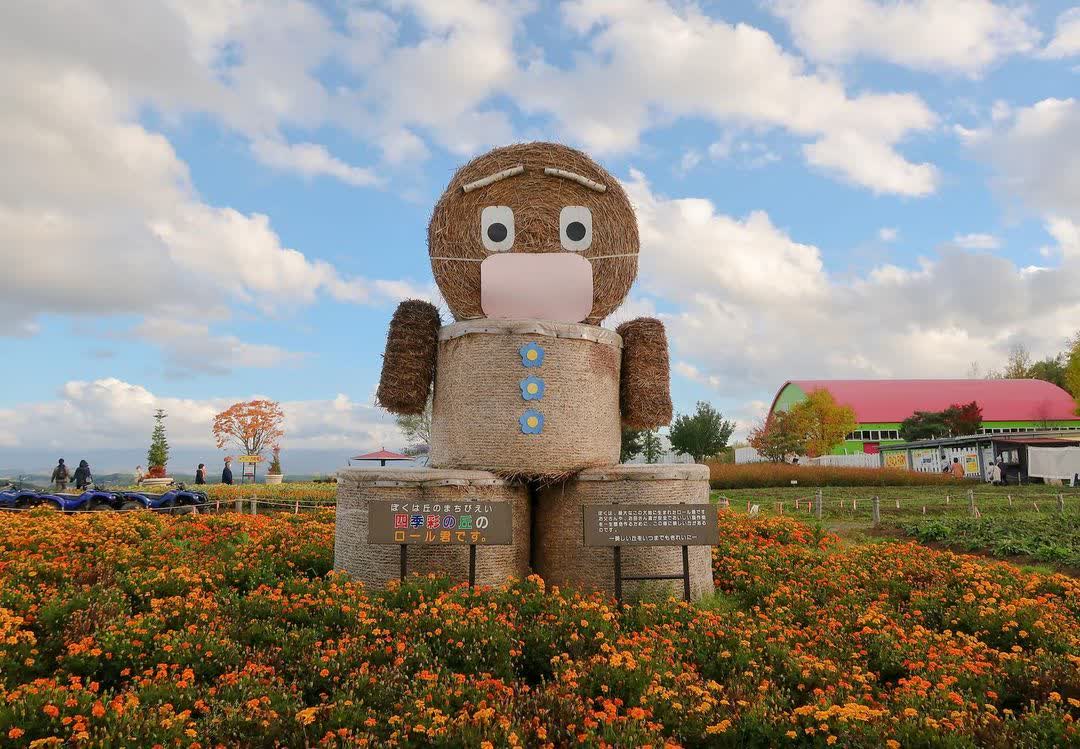 四季彩之丘 | 去趣 chicTrip