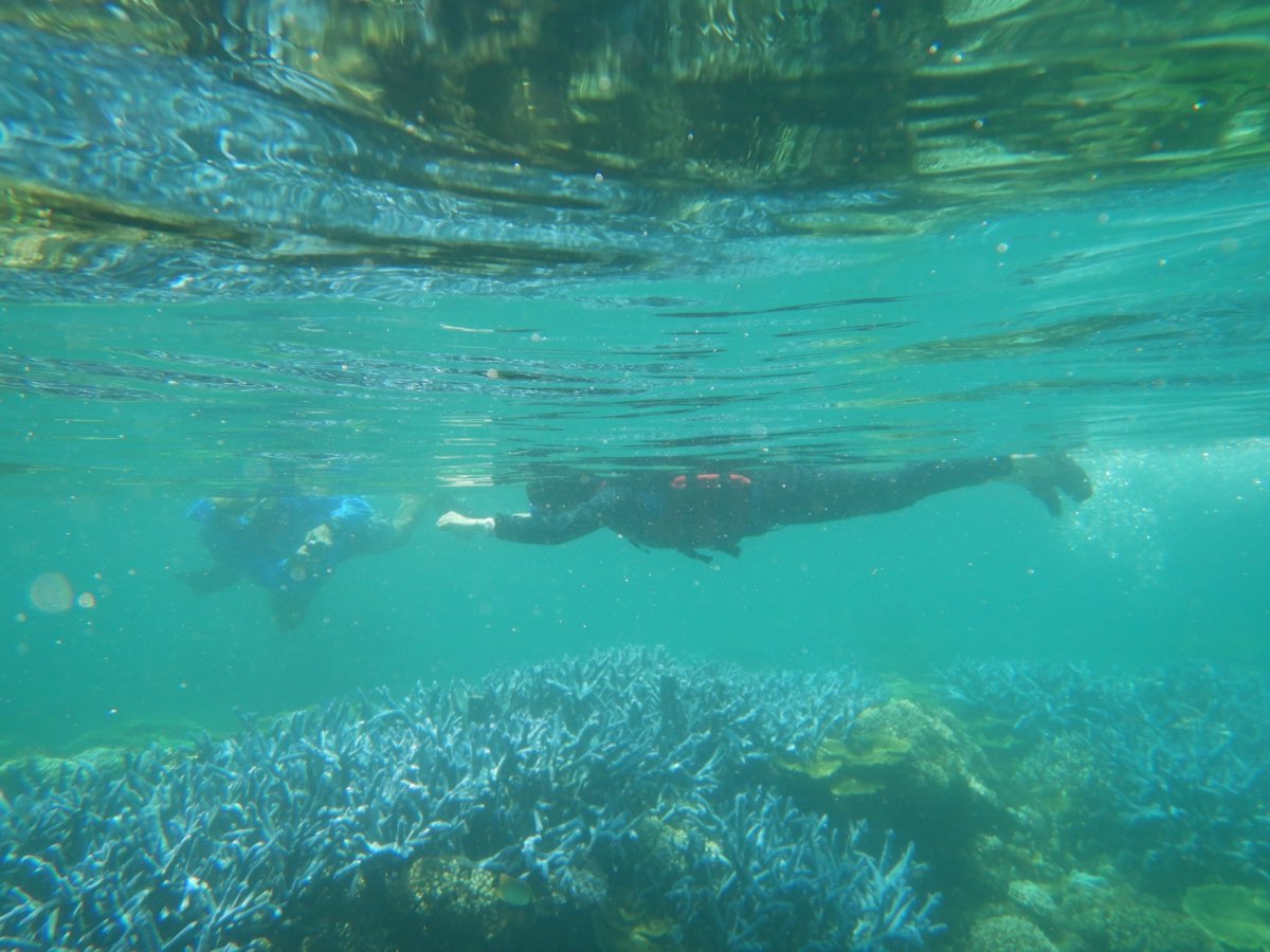 金瓜仔礁（忘憂島） | 去趣 chicTrip