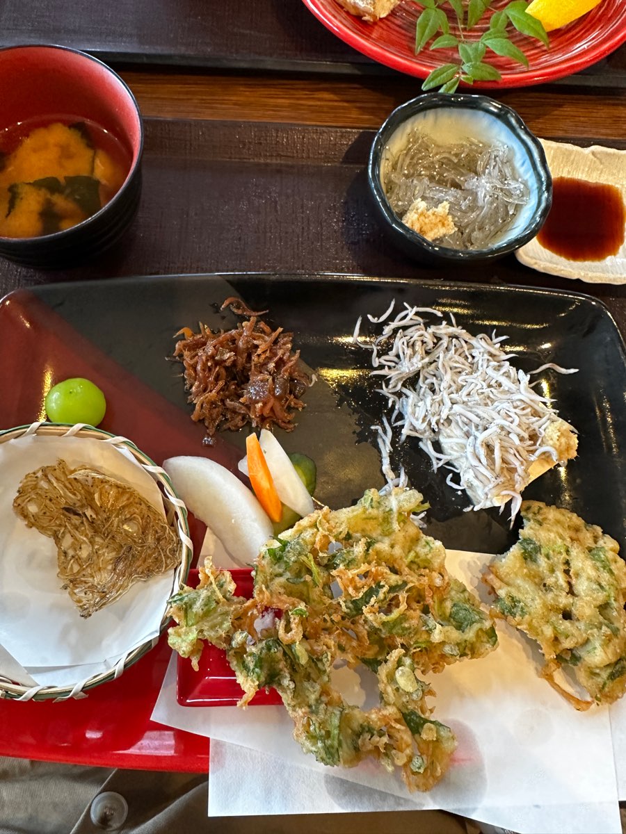 Shirasuya | 去趣 chicTrip
