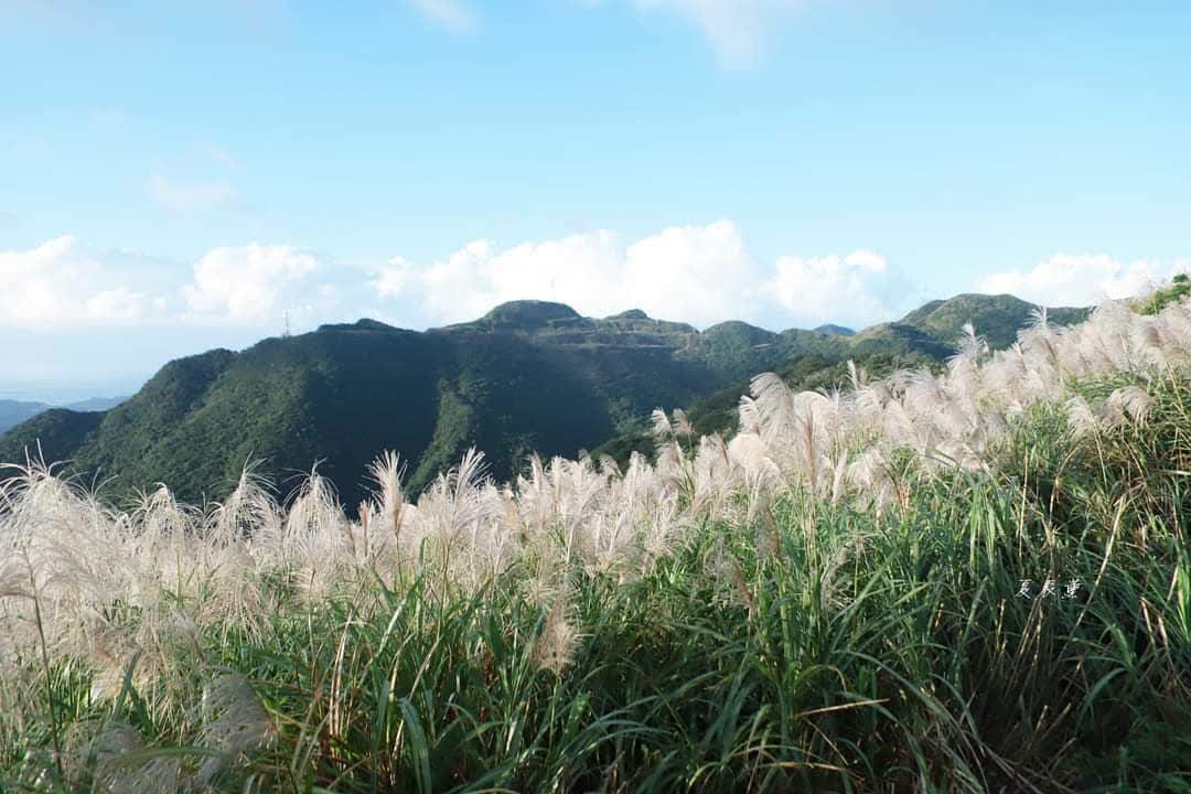 不厭亭 | 去趣 chicTrip