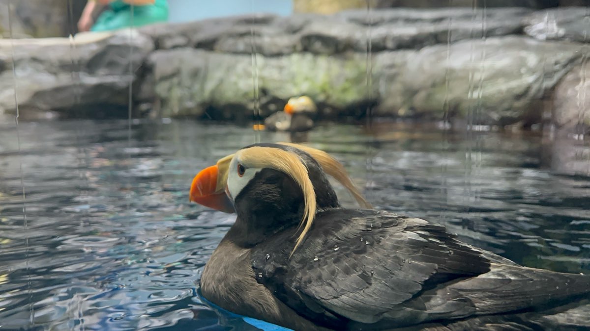 海遊館 | 去趣 chicTrip