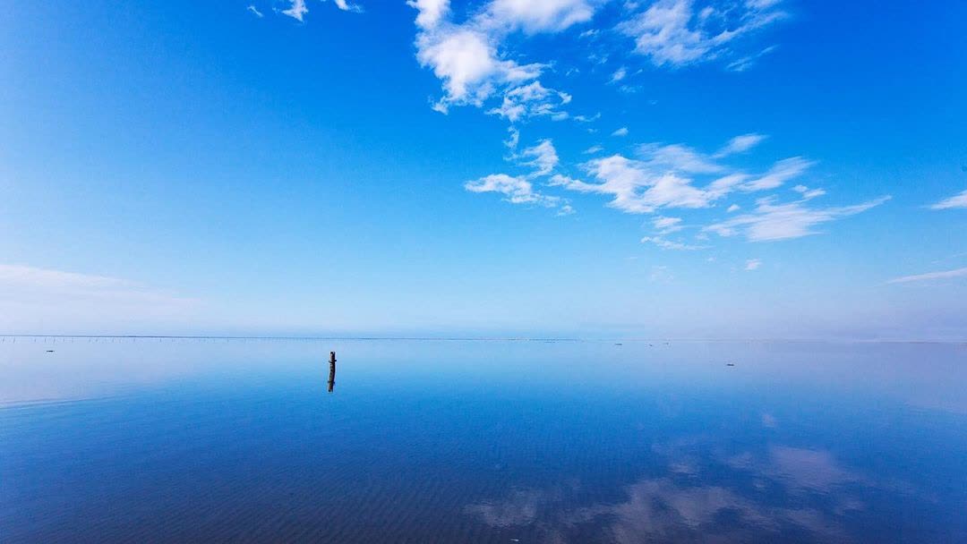 高美濕地 | 去趣 chicTrip