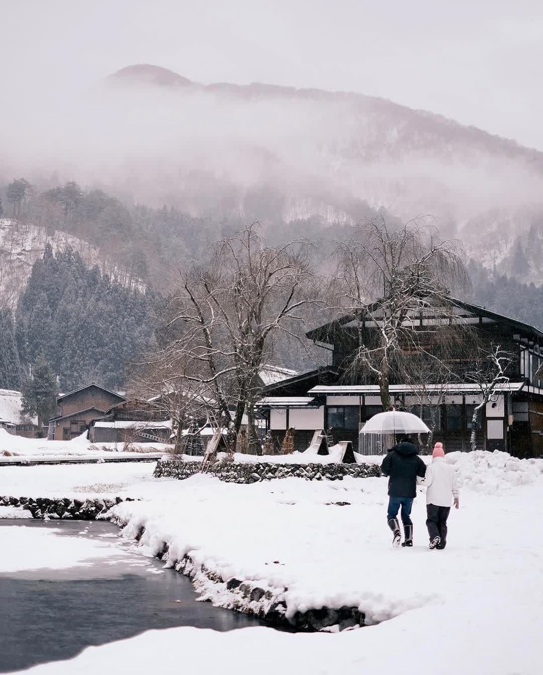 白川鄉合掌造聚落 | 去趣 chicTrip