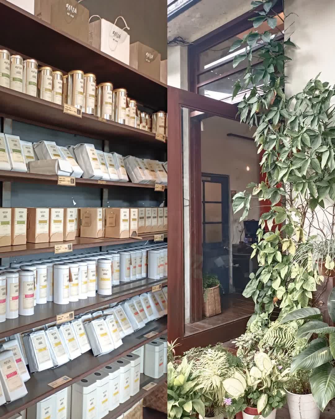 日月老茶廠 | 去趣 chicTrip