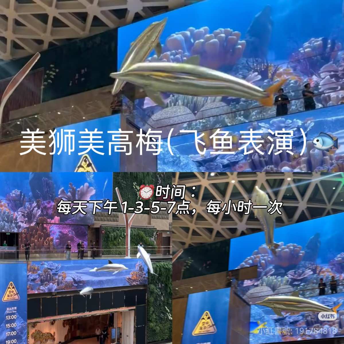 美獅美高梅 | 去趣 chicTrip