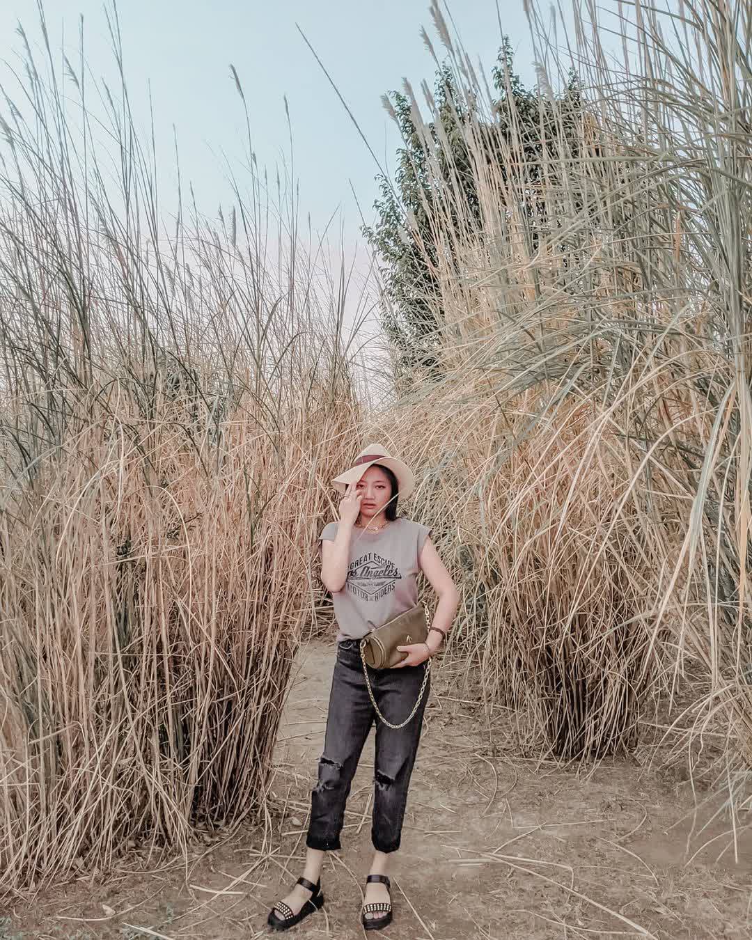 臺中中央公園 | 去趣 chicTrip