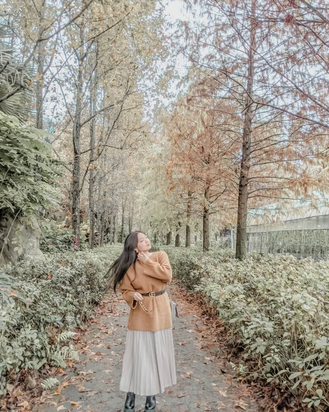 台一生態休閒農場(楓樺台一渡假村) | 去趣 chicTrip