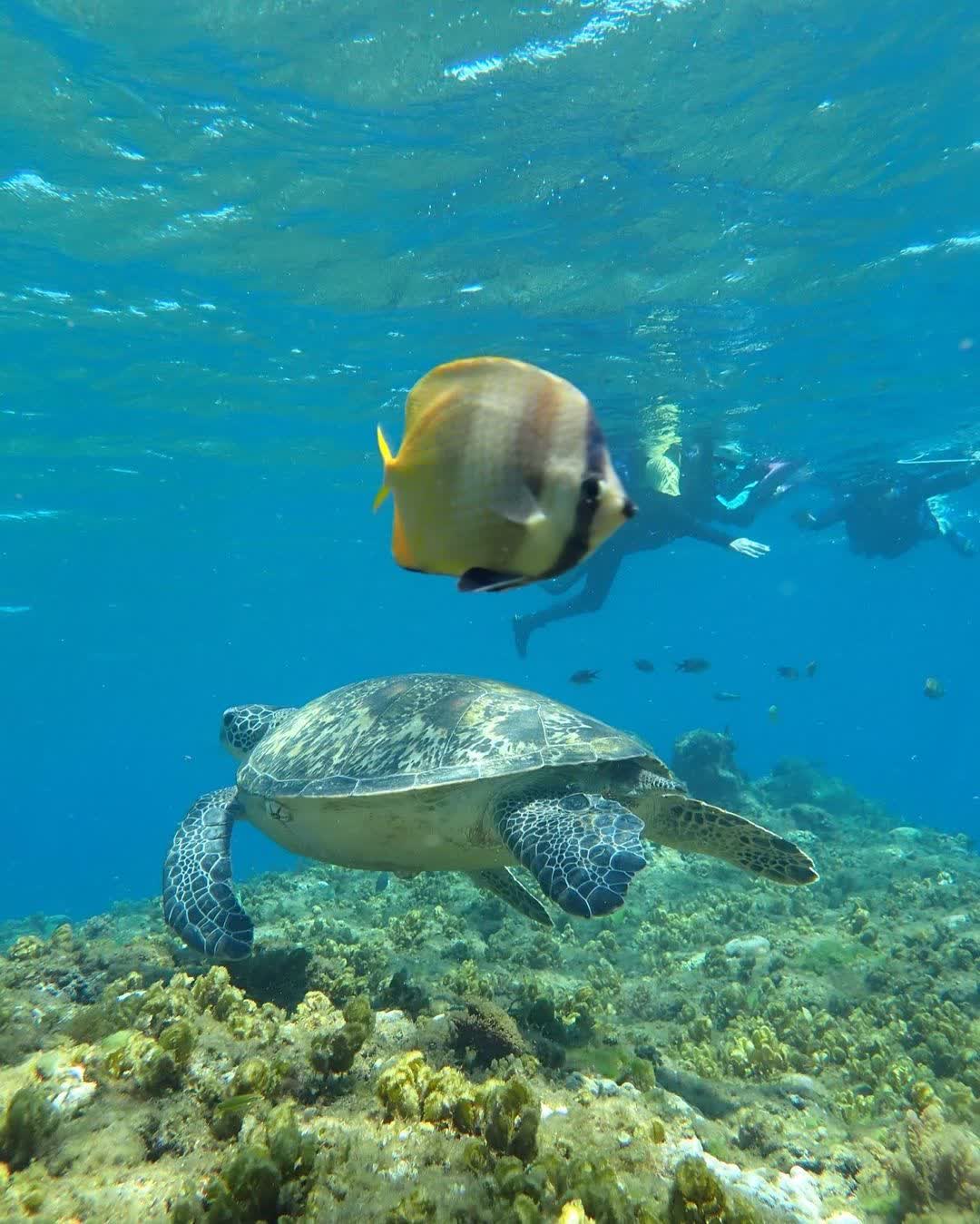 琉球嶼 | 去趣 chicTrip