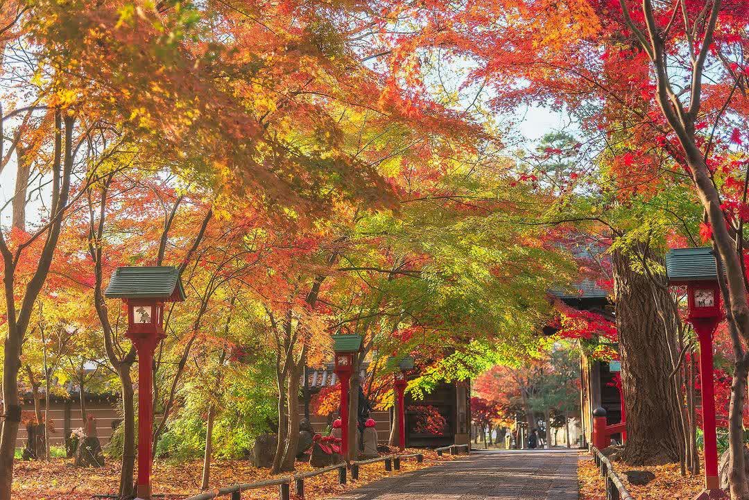 九品山 唯在念佛院 淨眞寺 | 去趣 chicTrip