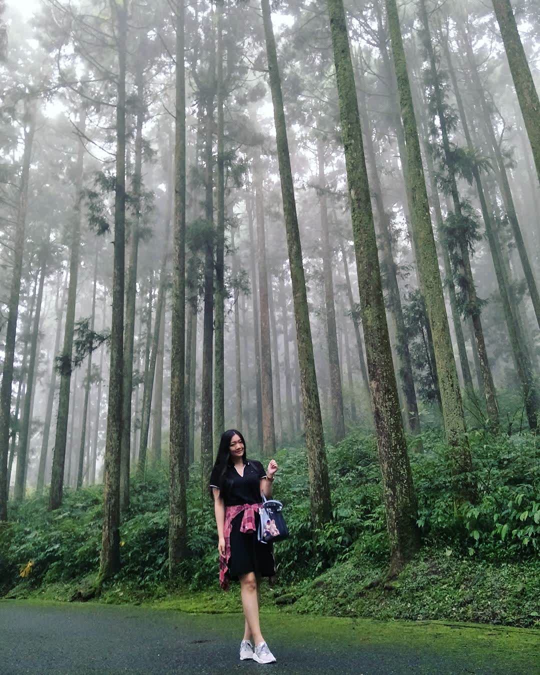 溪頭自然教育園區 | 去趣 chicTrip