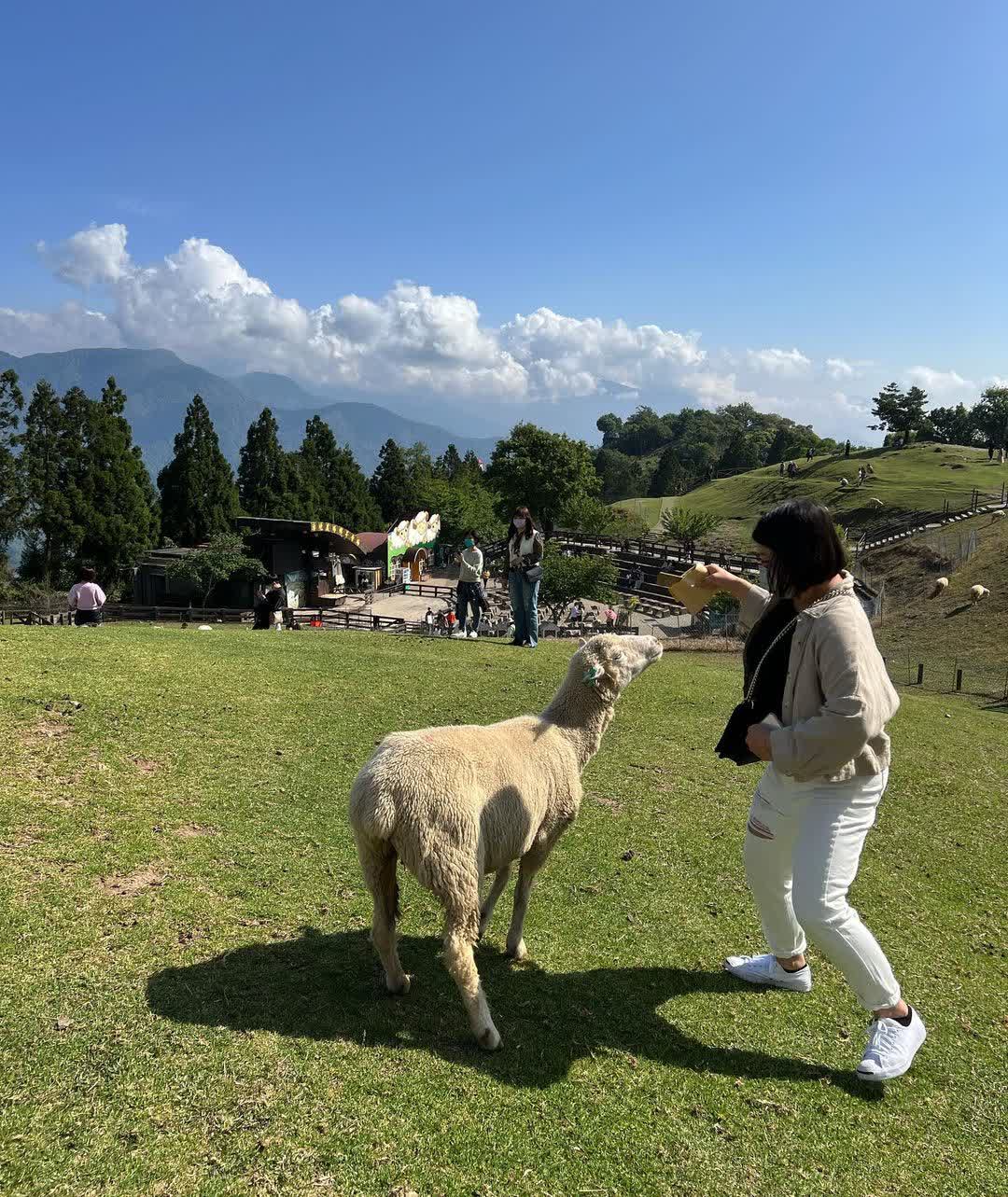 清境農場青青草原 | 去趣 chicTrip