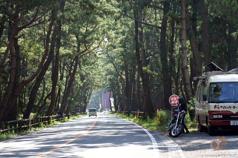 虹之松原 | 去趣 chicTrip