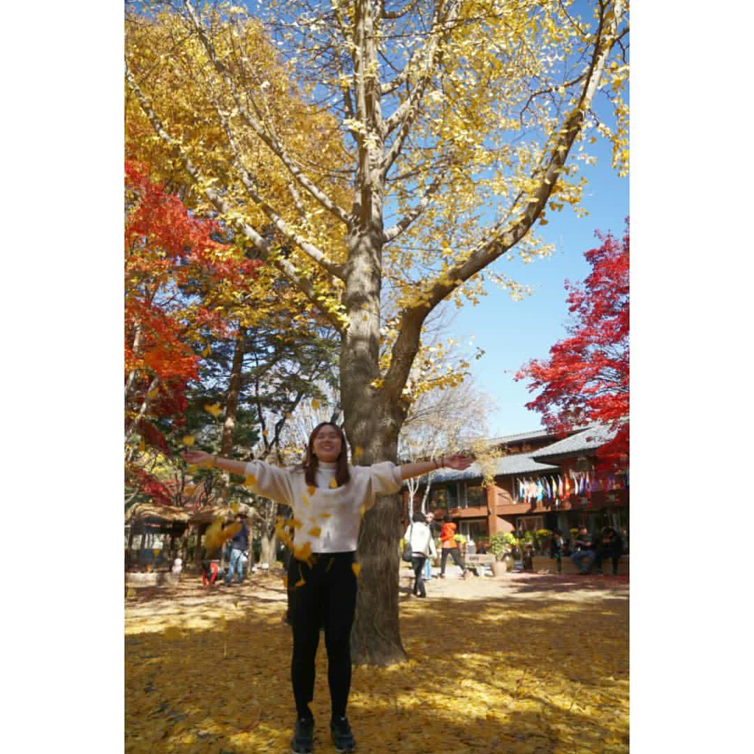 南怡島남이섬 | 去趣 chicTrip