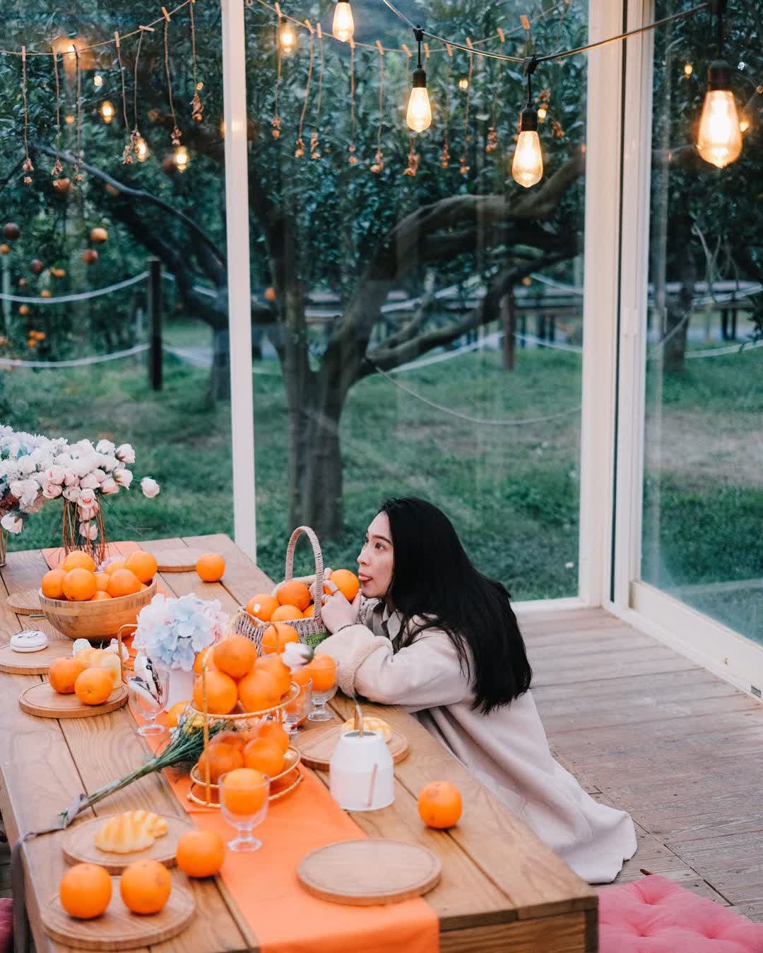 橙香森林 | 去趣 chicTrip