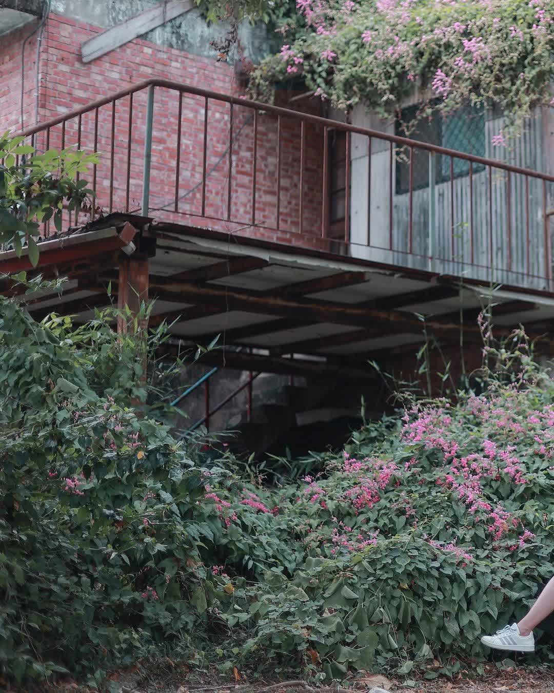 中興新村 | 去趣 chicTrip