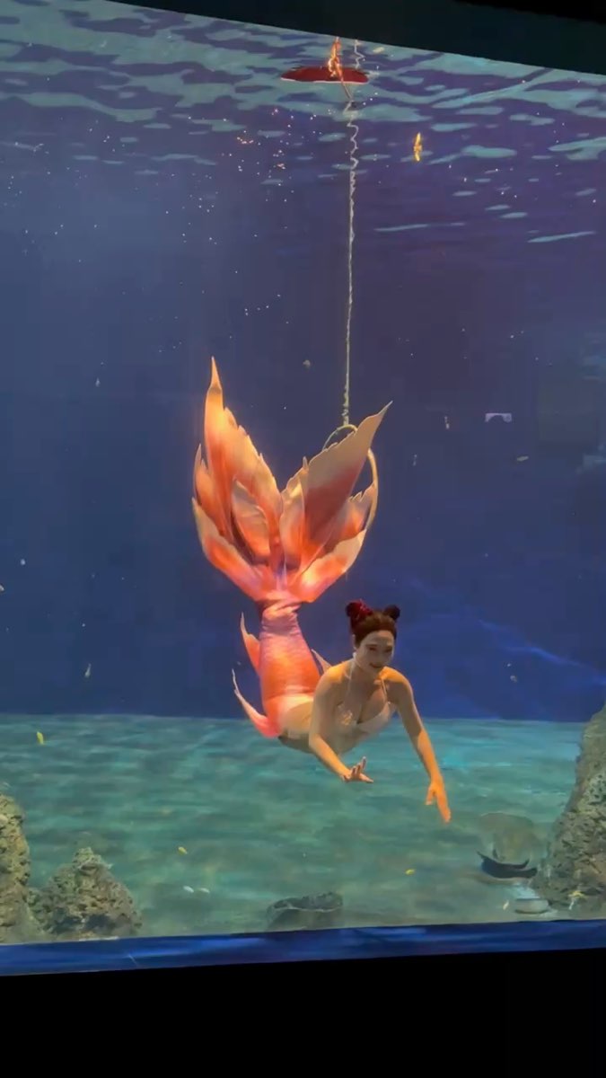 遠雄海洋公園 | 去趣 chicTrip