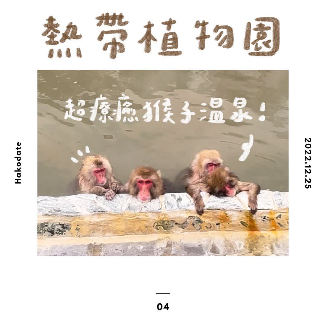 函館市熱帶植物園 | 去趣 chicTrip