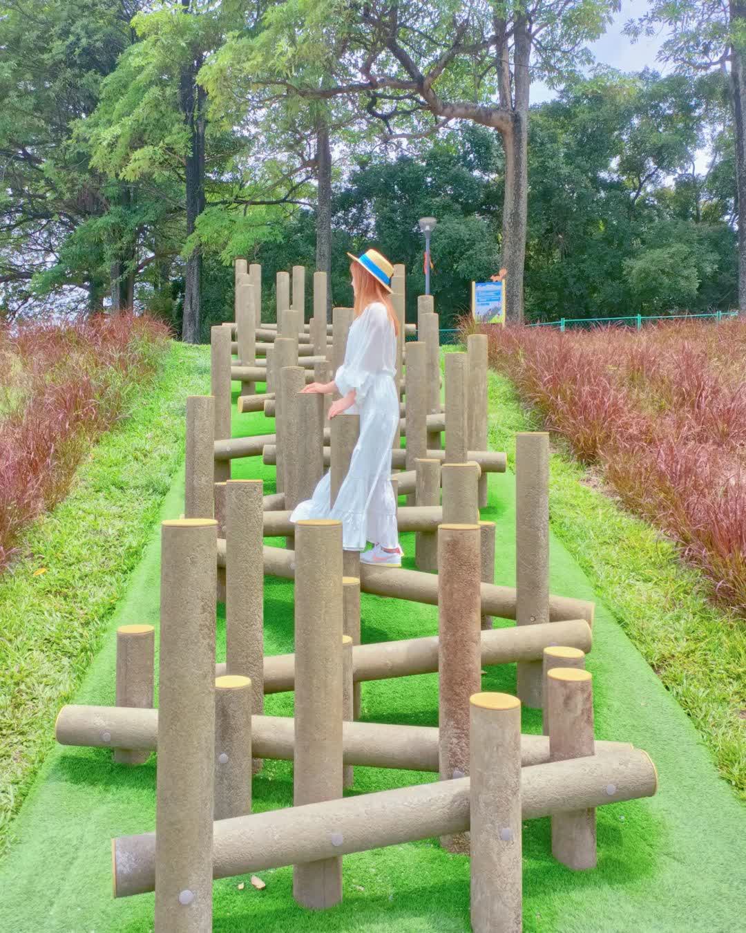 斗六膨鼠森林公園 | 去趣 chicTrip