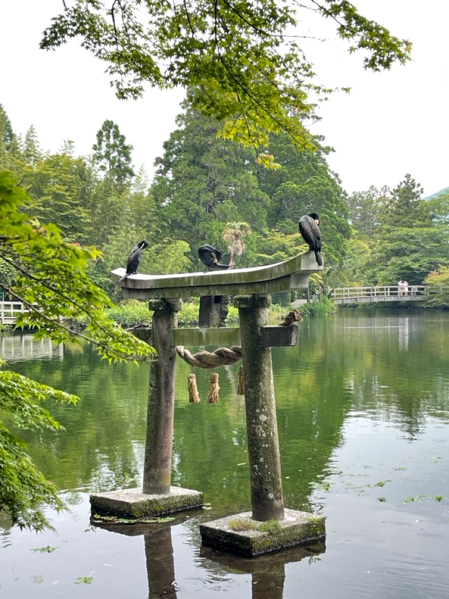 水上鳥居(天祖神社) | 去趣 chicTrip